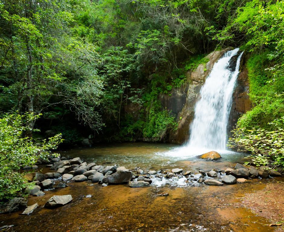 Laguna Lodge 格拉斯科普 客房 照片